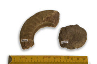 F 03905
<br/>
<br/>
<em></em>